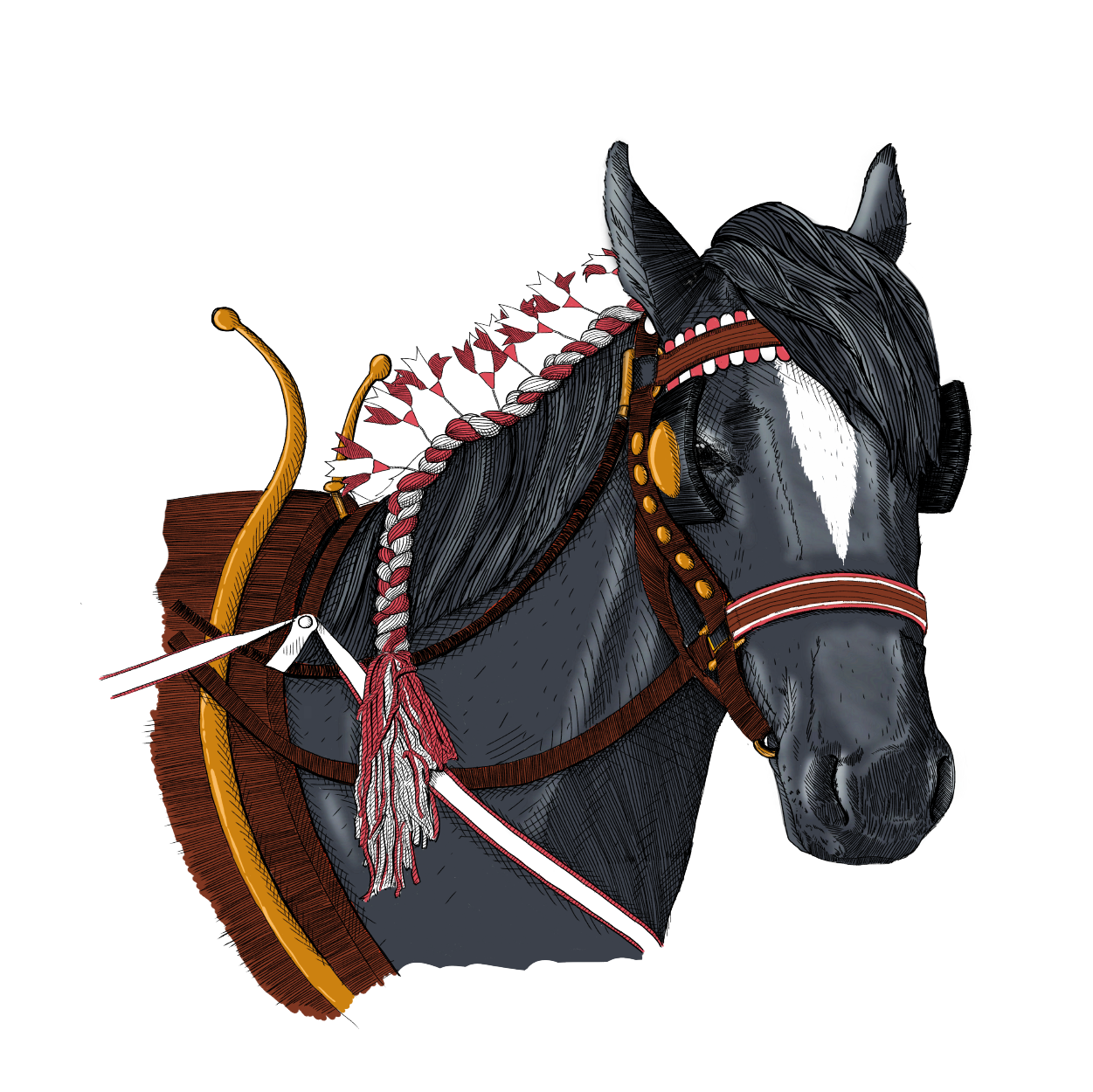 Black horse with saddle