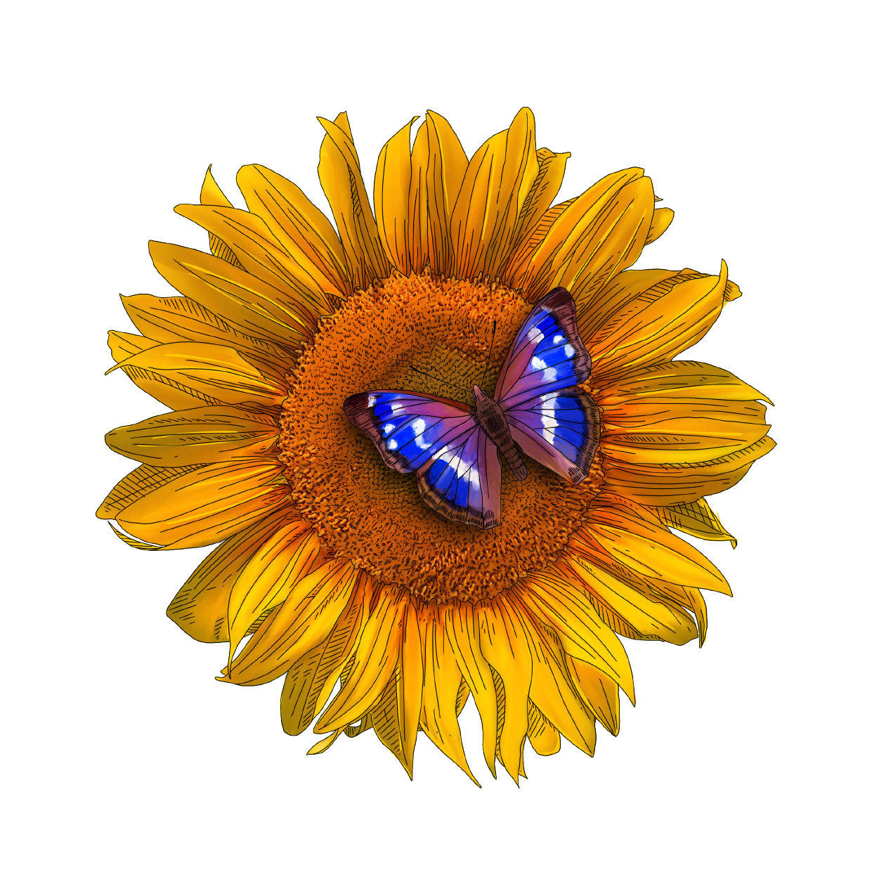 yellow sunflower with purple butterfly landed on it